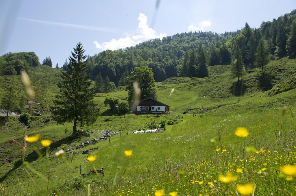 Noichl'S Hotel Garni ซางค์ท โยฮันน์ อิน ทิโรล ห้อง รูปภาพ